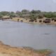 Article : Bassin du Lac Tchad: une merveille du Sahel.