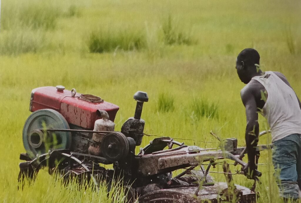 Technique culturale motorisée à Bongor dans la région Mayo-Kebbi Est. Agriculture 
