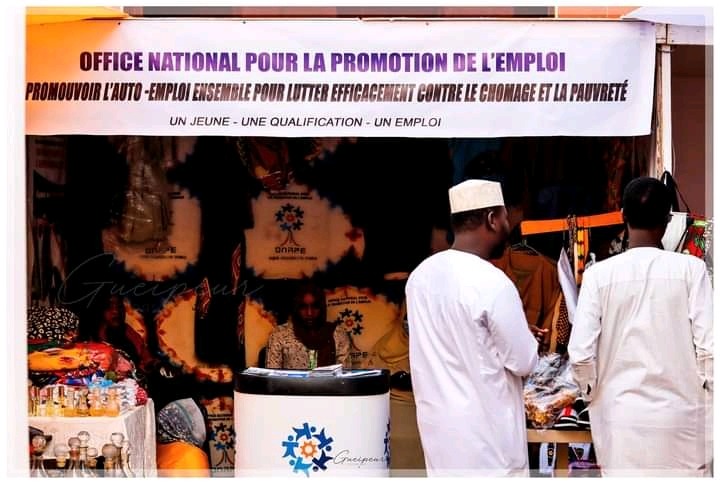 Article : Tchad : la culture entrepreneuriale dans les programmes scolaires pour résorber le chômage des jeunes ?